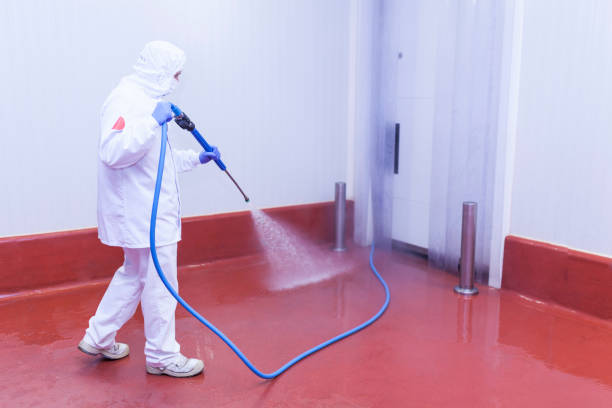 Reliable Phoenix, NY  Pressure Washing Services Solutions